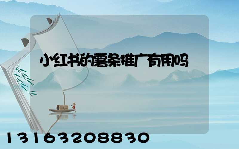 小红书的薯条推广有用吗