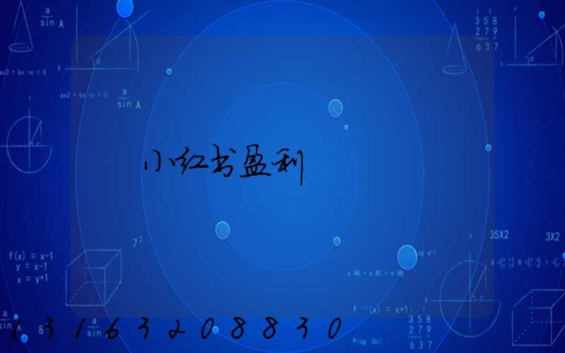 小红书盈利