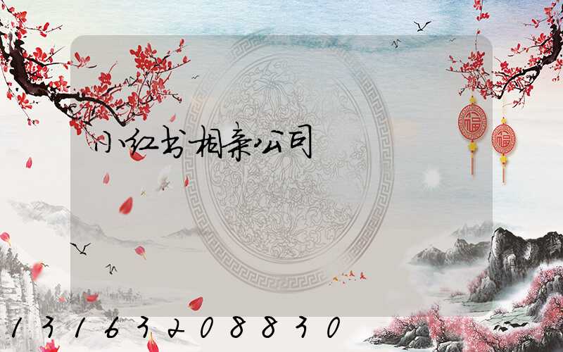 小红书相亲公司