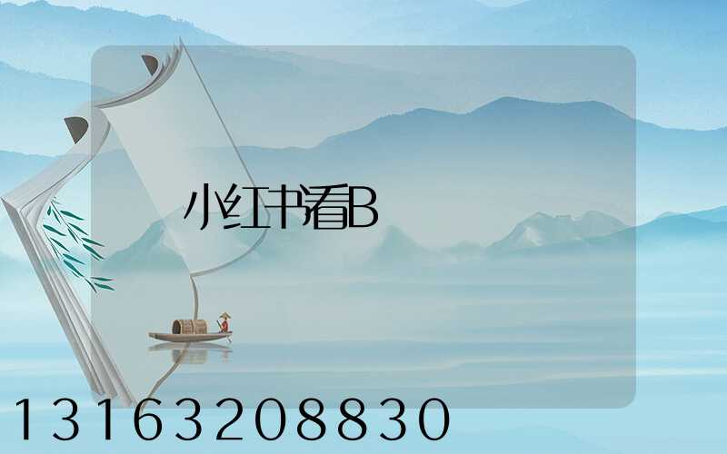 小红书看B