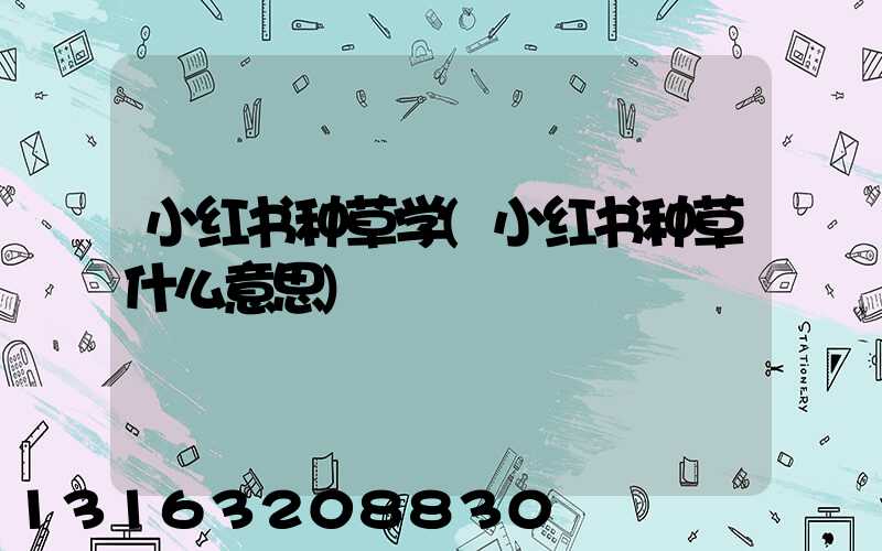 小红书种草学(小红书种草什么意思)