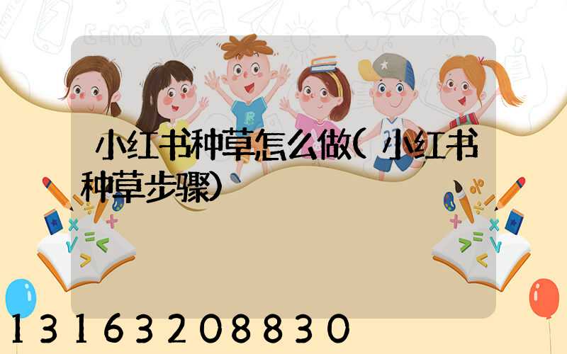 小红书种草怎么做(小红书种草步骤)