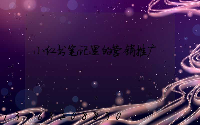 小红书笔记里的营销推广