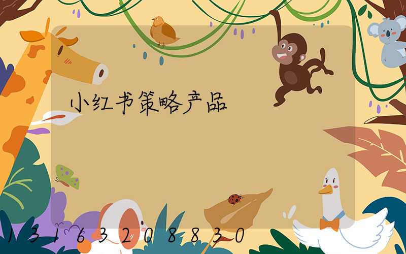 小红书策略产品