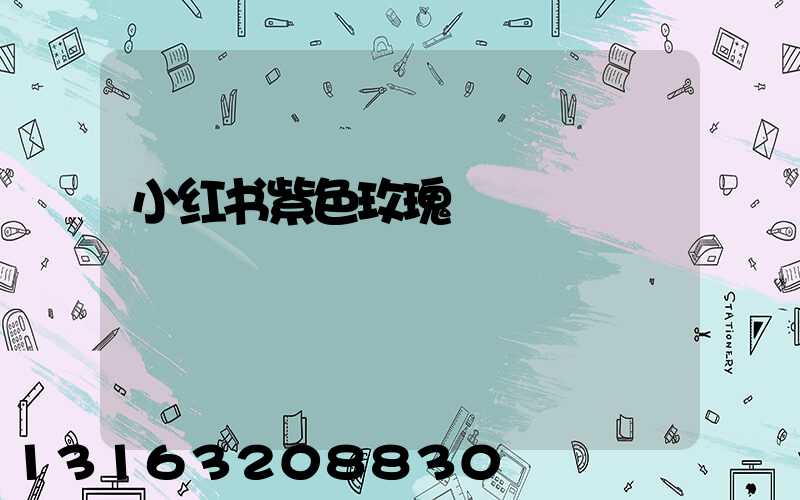 小红书紫色玫瑰