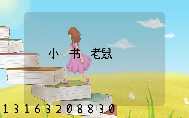 小红书红老鼠