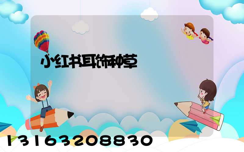 小红书耳饰种草