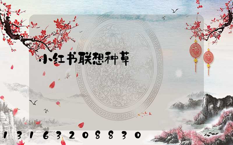 小红书联想种草