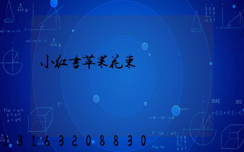 小红书苹果花束
