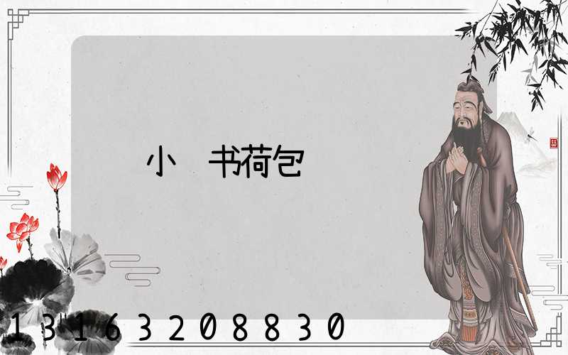 小红书荷包