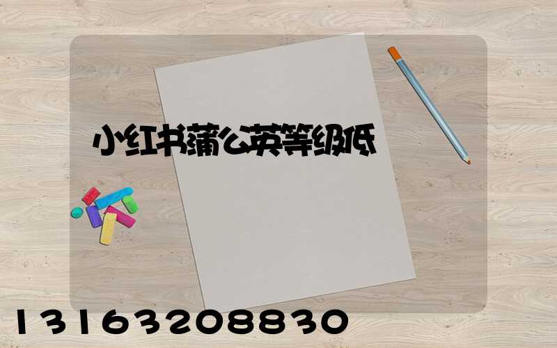 小红书蒲公英等级低