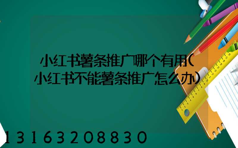 小红书薯条推广哪个有用(小红书不能薯条推广怎么办)