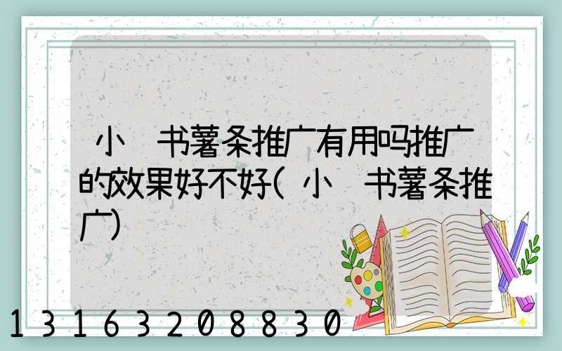 小红书薯条推广有用吗推广的效果好不好(小红书薯条推广)