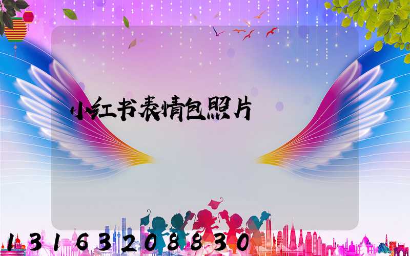 小红书表情包照片