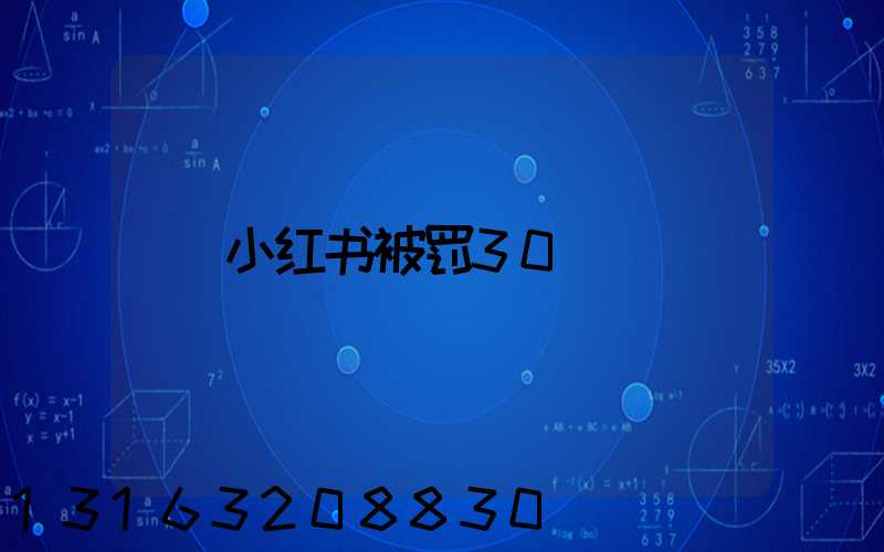 小红书被罚30