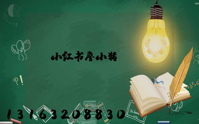 小红书詹小猪