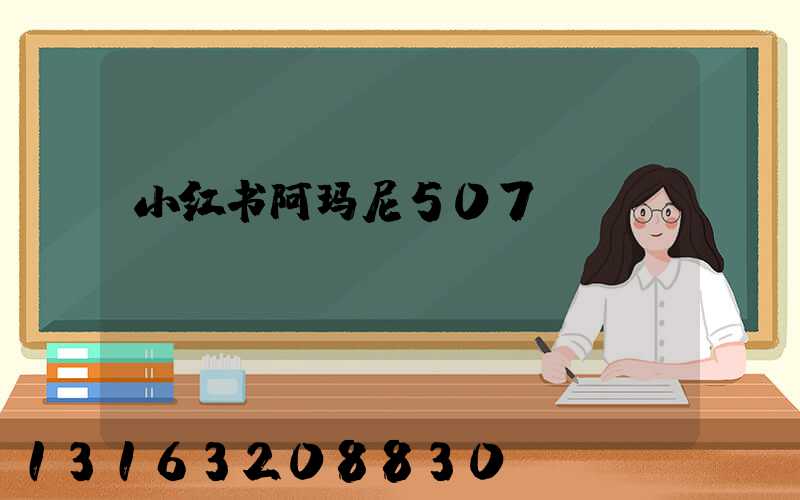 小红书阿玛尼507