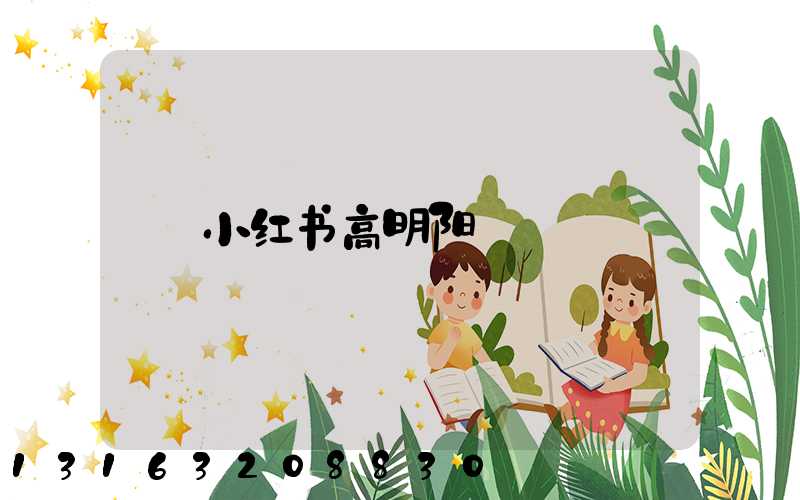 小红书高明阳