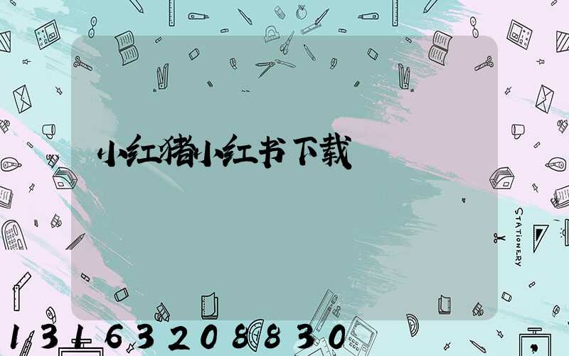 小红猪小红书下载