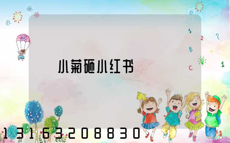 小菊砸小红书