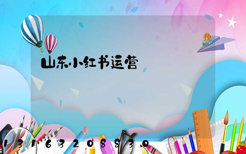 山东小红书运营