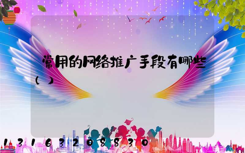 常用的网络推广手段有哪些()