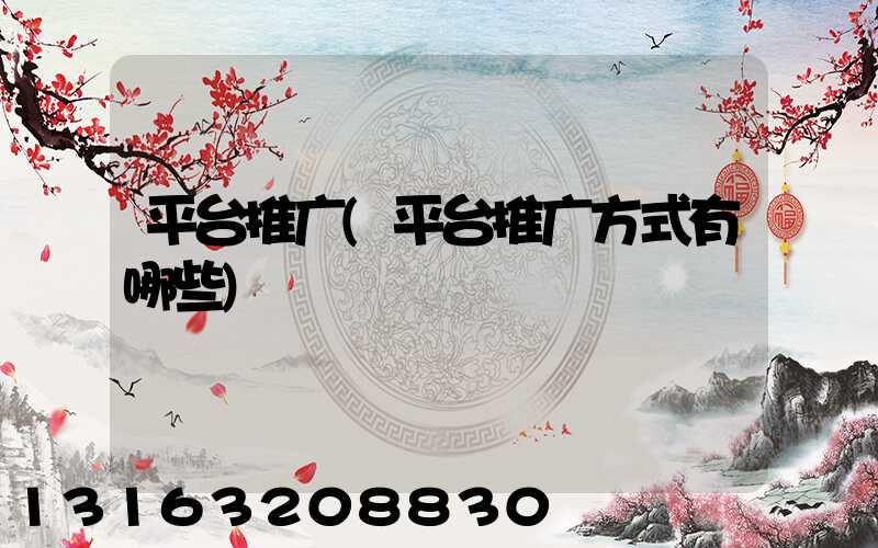 平台推广(平台推广方式有哪些)
