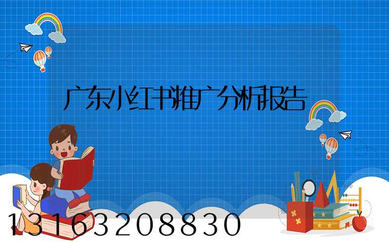广东小红书推广分析报告