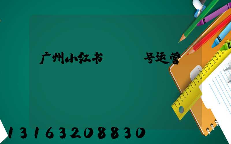 广州小红书kol号运营