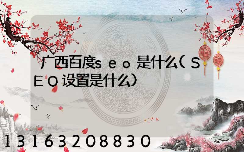 广西百度seo是什么(SEO设置是什么)