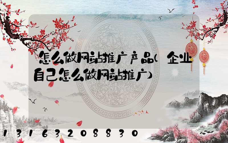 怎么做网站推广产品(企业自己怎么做网站推广)