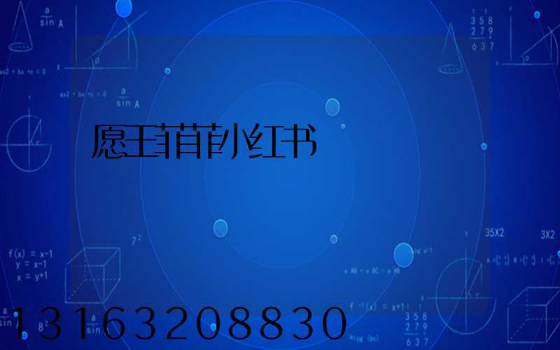 愿王菲菲小红书