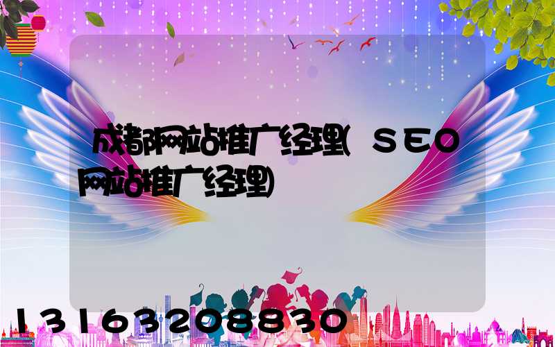 成都网站推广经理(SEO网站推广经理)