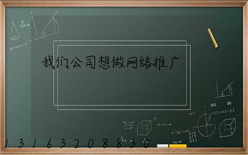 我们公司想做网络推广