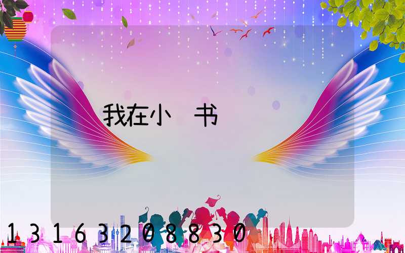 我在小红书