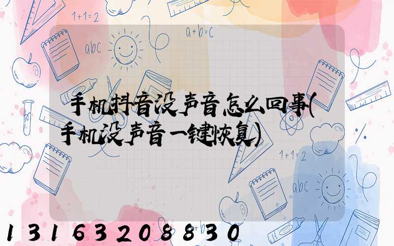 手机抖音没声音怎么回事(手机没声音一键恢复)
