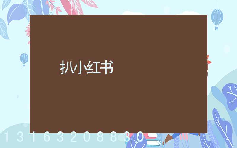 扒小红书