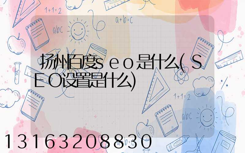 扬州百度seo是什么(SEO设置是什么)