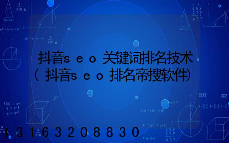抖音seo关键词排名技术(抖音seo排名帝搜软件)