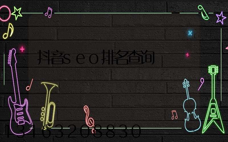 抖音seo排名查询