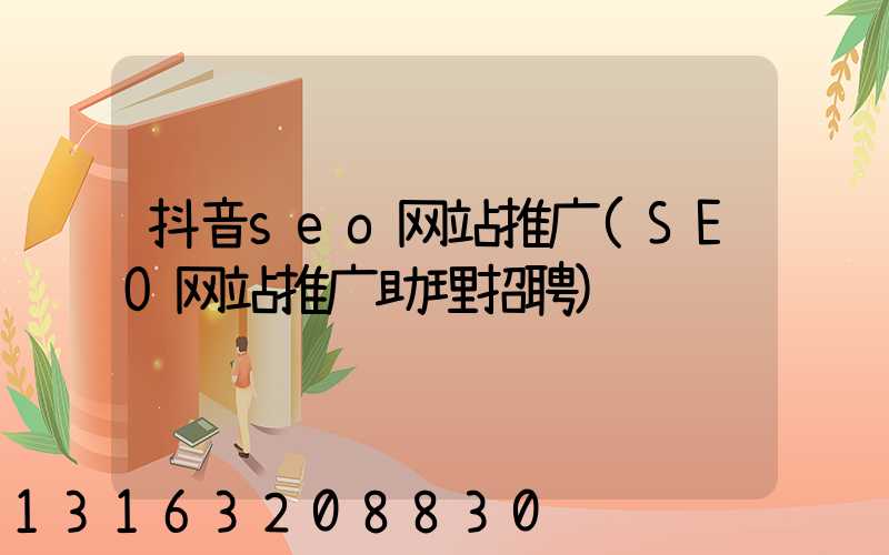 抖音seo网站推广(SEO网站推广助理招聘)