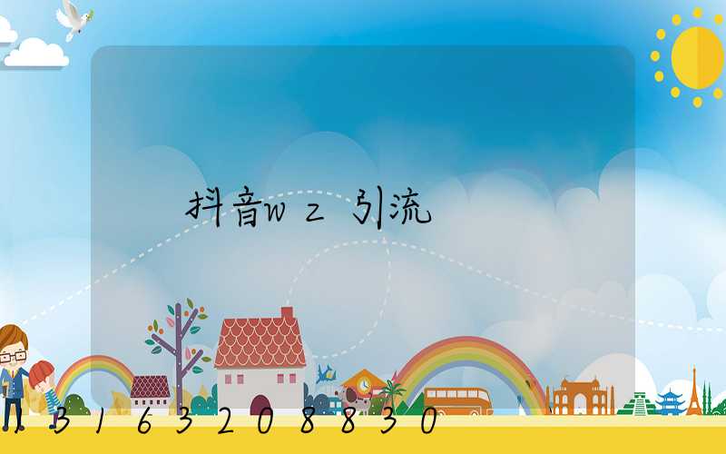 抖音wz引流