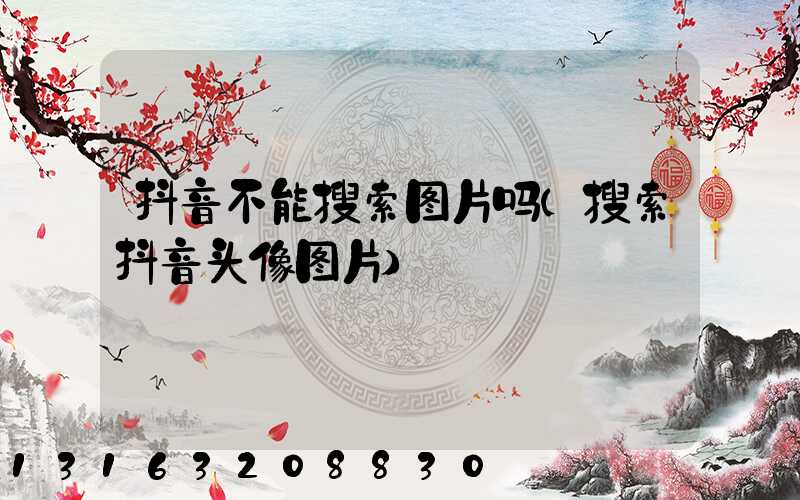 抖音不能搜索图片吗(搜索抖音头像图片)