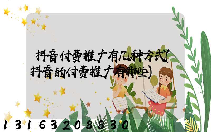 抖音付费推广有几种方式(抖音的付费推广有哪些)