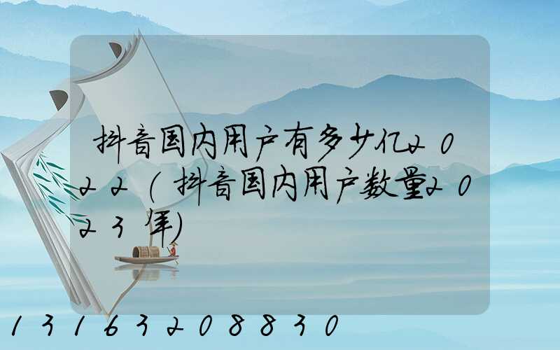 抖音国内用户有多少亿2022(抖音国内用户数量2023年)