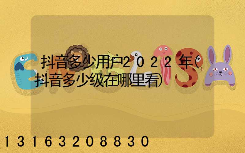 抖音多少用户2022年(抖音多少级在哪里看)