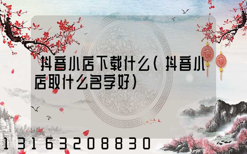 抖音小店下载什么(抖音小店取什么名字好)