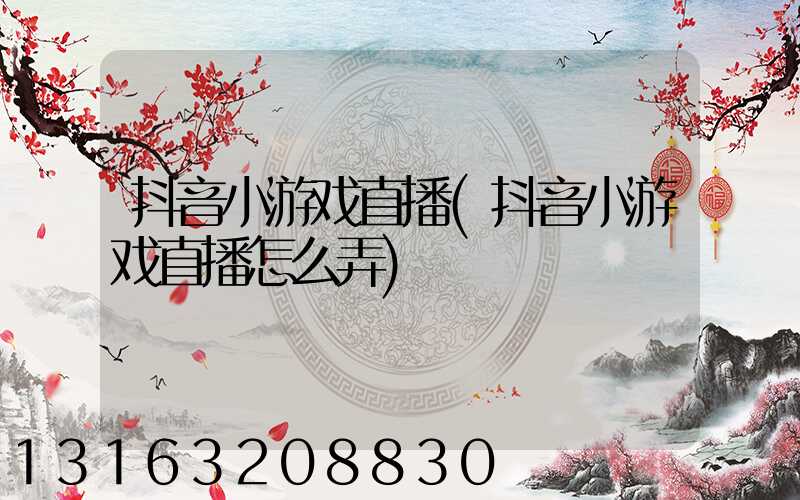 抖音小游戏直播(抖音小游戏直播怎么弄)