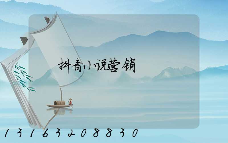 抖音小说营销