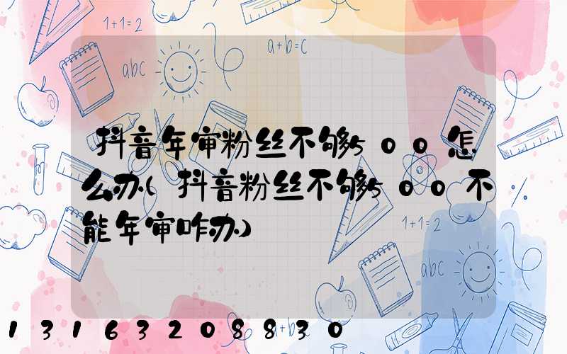 抖音年审粉丝不够500怎么办(抖音粉丝不够500不能年审咋办)